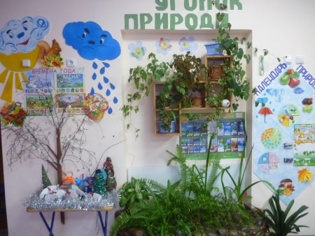 Календарь природы для детского сада