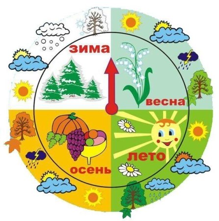 Уголок природы в детском саду