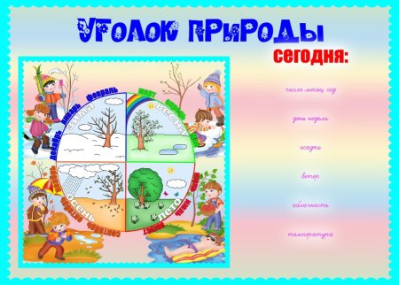 Уголок природы в группе