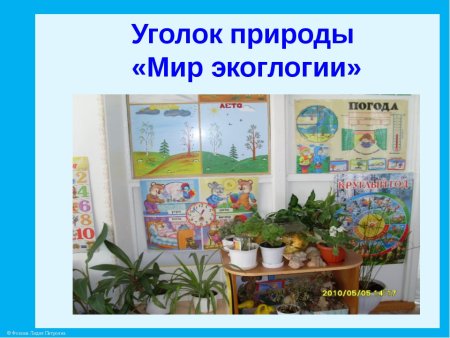 Картинки для природного уголка в детском саду