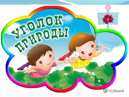 Календарь природы для малышей