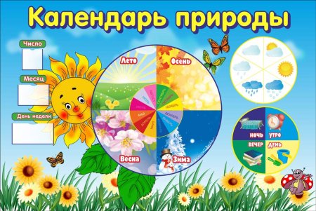 Стенд "уголок природы"