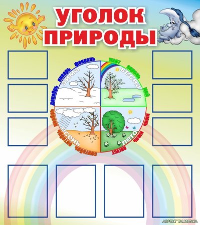 Уголок природы в садике