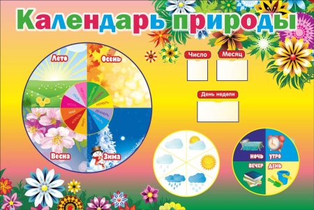 Уголок природы для малышей