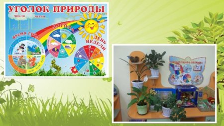 Календарь природы для детского сада
