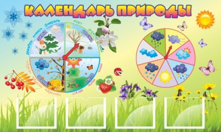 Уголок природы в детском саду своими руками