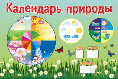 Название уголка природы в детском саду