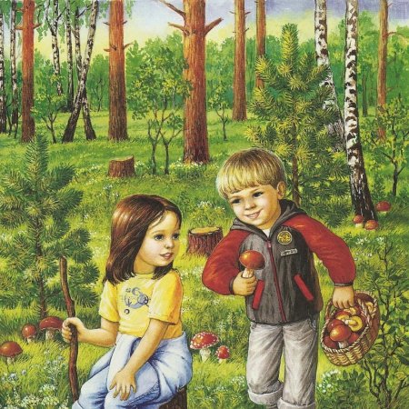 Сутеев гриб иллюстрации книг