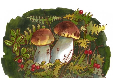 Рисование с детьми грибы