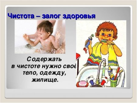 Доклад на тему чистота залог здоровья
