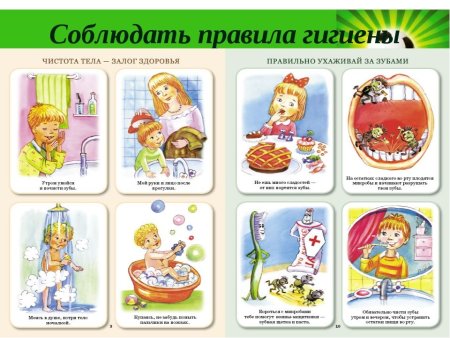 Правила гигиены