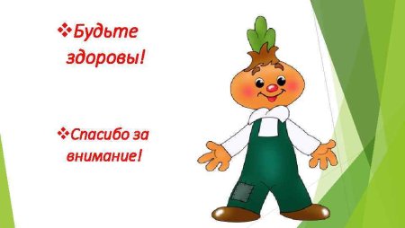 Чиполлино луковичка