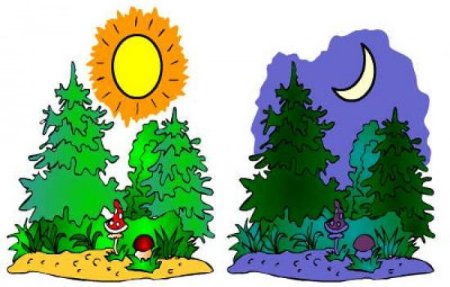 День и ночь для детей