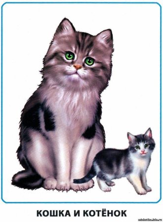 Домашние животные для детей