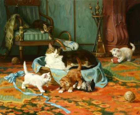 Святослав Новосадюк кошки