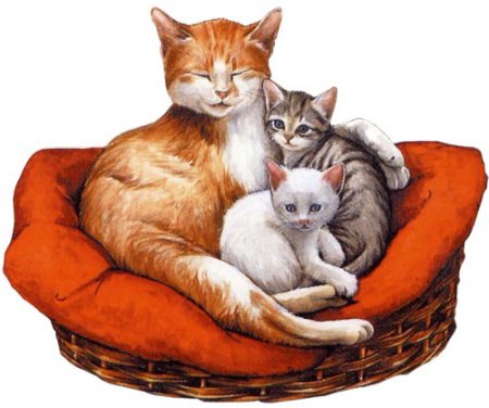 Кошка и котенок для детей