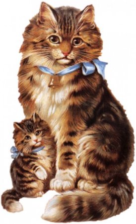 Кошка для дошкольников