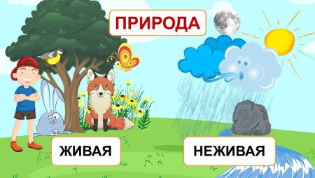 Живая и не эивая природа