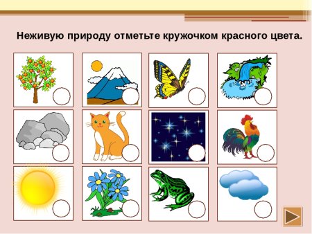 Карточки Живая и неживая природа