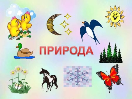 Живая и неживая природа