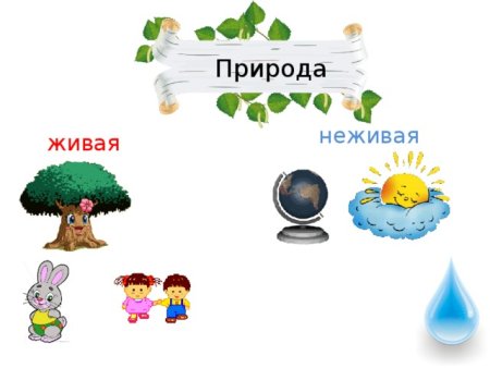 Объекты неживой природы