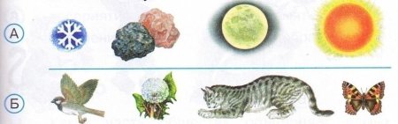 Карточки Живая и неживая природа