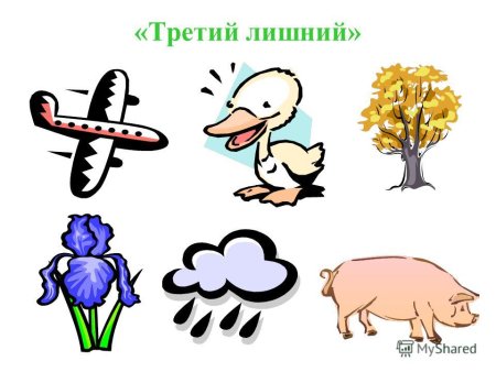 Игра третий лишний Живая и неживая природа