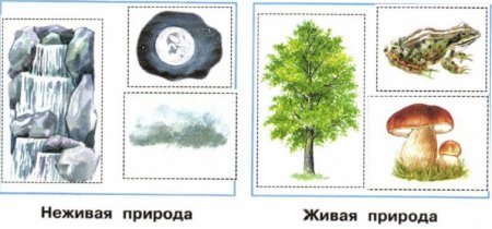 Неживая природа рисунок