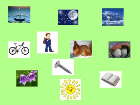 Живая и неживая природа