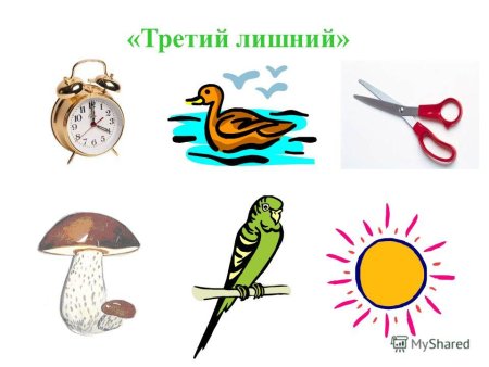 Живые и неживые предметы