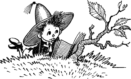 Приключения Незнайки и его друзей Лаптев