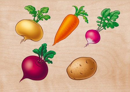 Овощи для садика