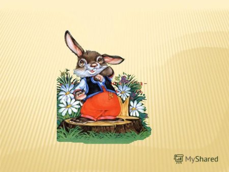 Заяц косые глаза длинные
