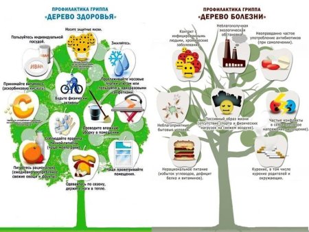 Дерево здоровья