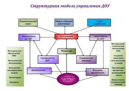 Структура органов управления ДОУ схема