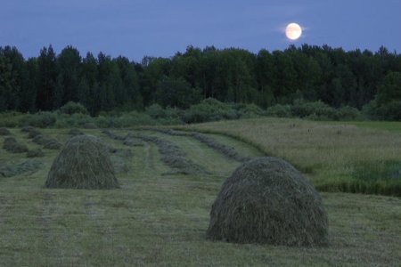 Пходит месяц над лучами