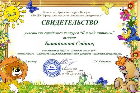 Сертификат участника детского конкурса