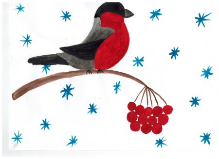 Зимующие птицы Снегирь для детей 4-5