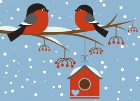 Снегирь рисунок