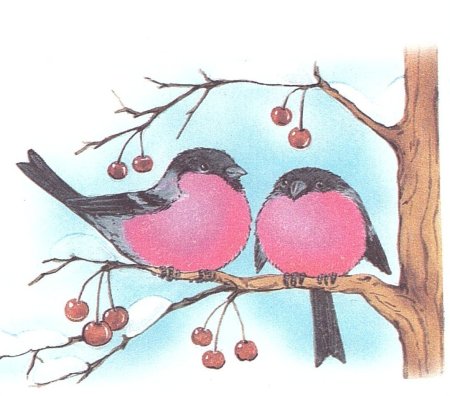 Рисование птицы зимой