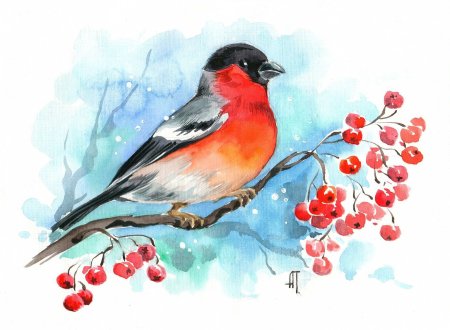 Анна Петунова Снегирь