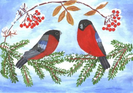 Рисование с детьми Снегирь на еловой ветке