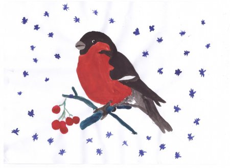 Рисование снегиря