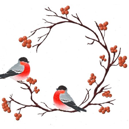 Снегирь на белом фоне