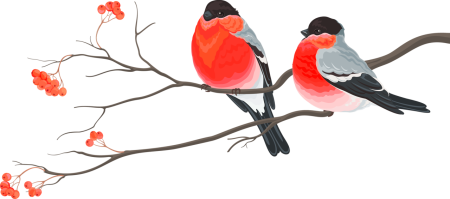 Снегири на ветке