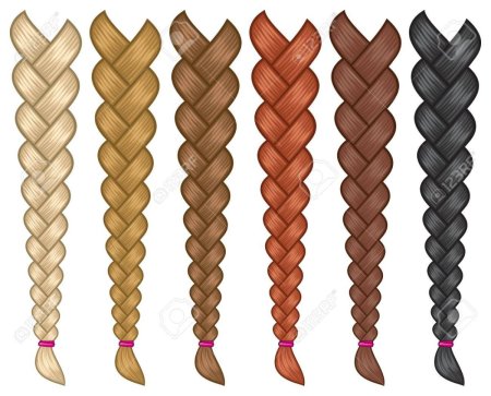 Коса волосы вектор