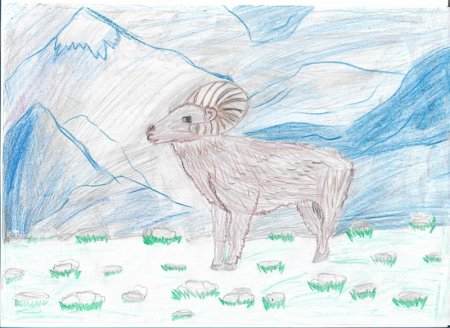 Алтайские детские рисунки