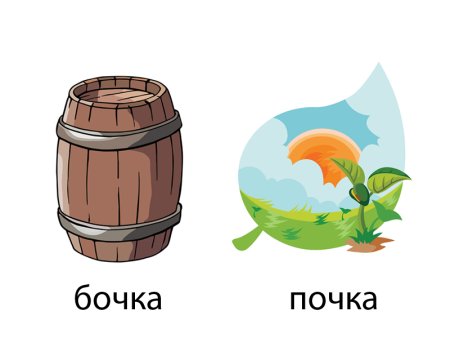 Почка бочка рисунок
