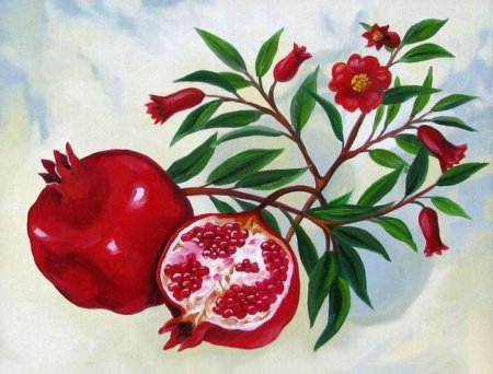 Картина ветка граната