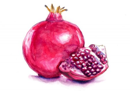 Гранат рисунок